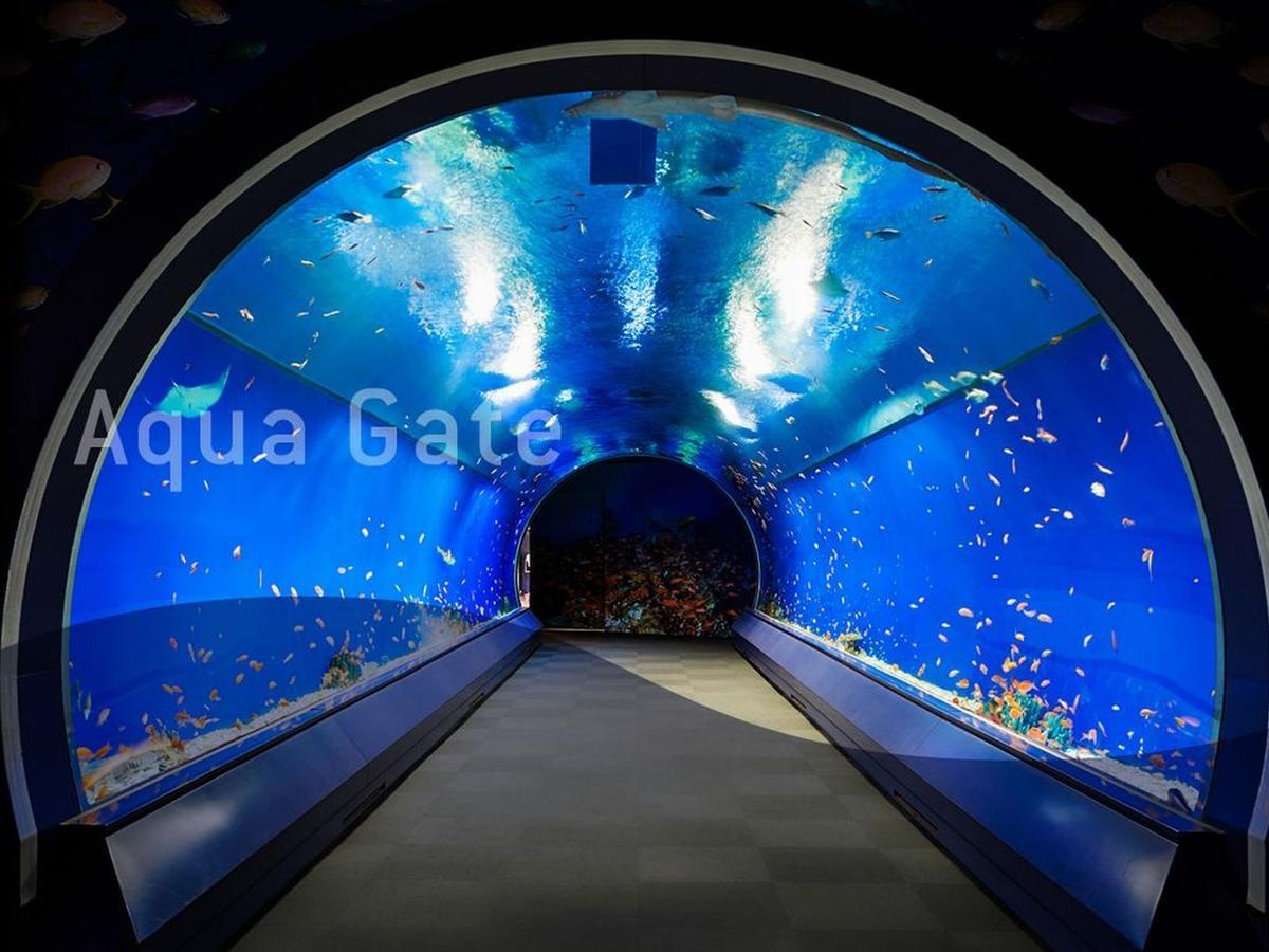 Welina Hotel Honmachi Oszaka Kültér fotó